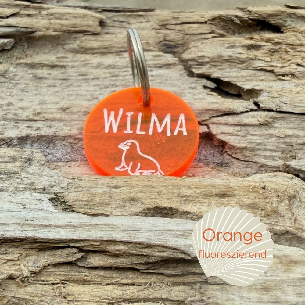 Dog tag with engraving - Design it yourself now ✍️🐶