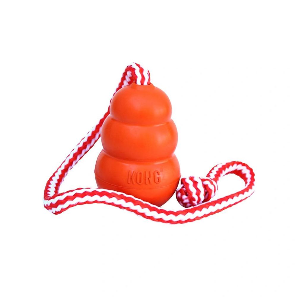 Hundespielzeug Aqua Kong - schwimmfähig