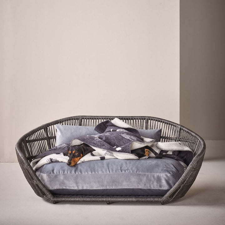 Hundedecke Dackel - Für Zuhause und unterwegs