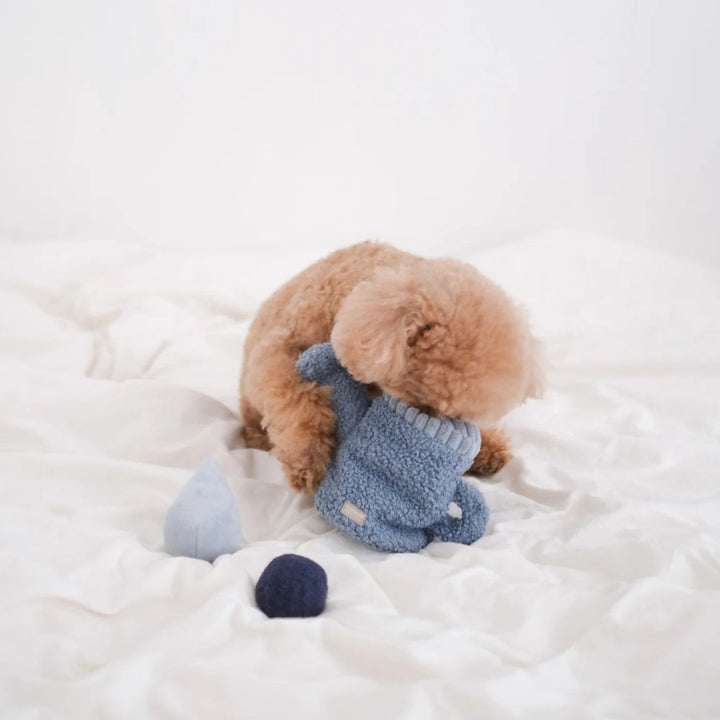 Hundespielzeug 3-in-1 Gießkanne
