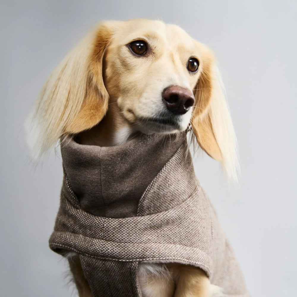 Hundemantel Dackel Brooklyn Tweed Beige
