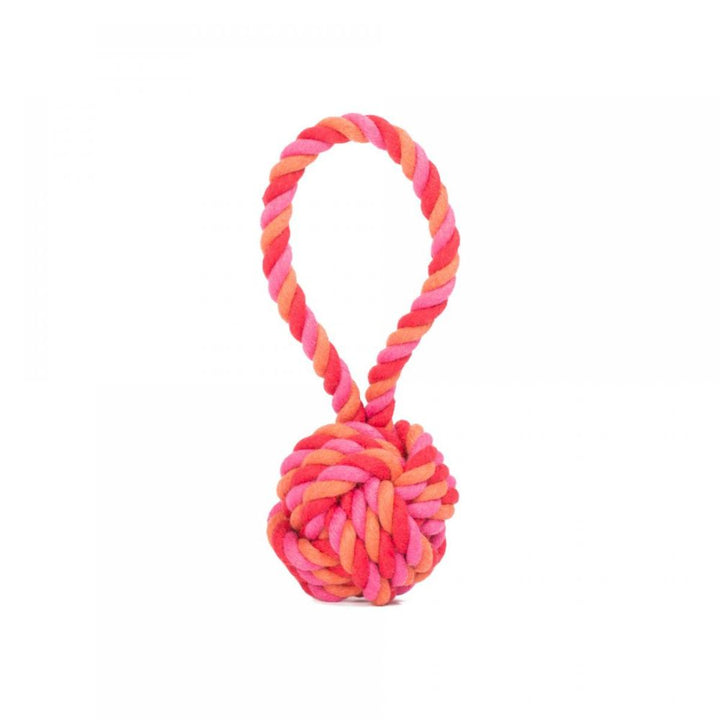Dog toy sling ball
