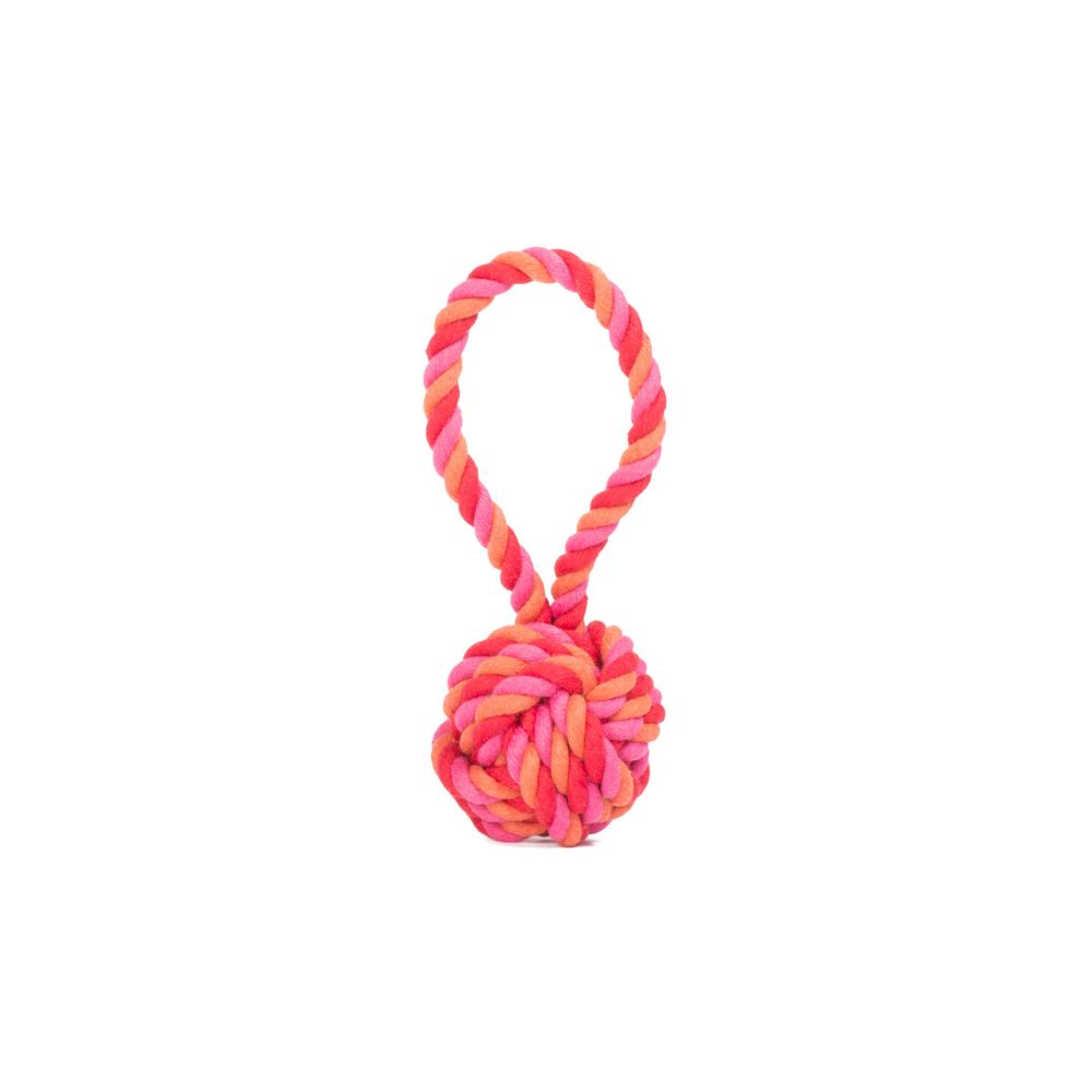 Dog toy sling ball