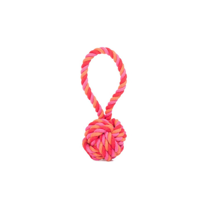 Dog toy sling ball
