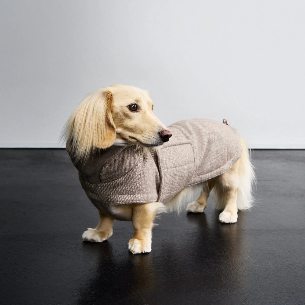 Hundemantel Dackel Brooklyn Tweed Beige