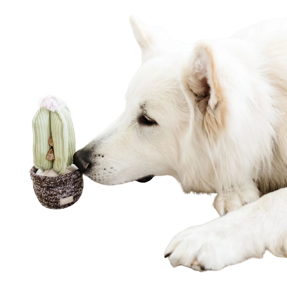 Hondenspeelgoed cactus - snuffelspeeltje