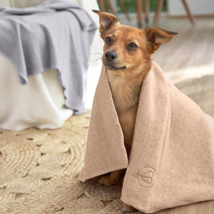 Hundedecke Mathilda Ahorn