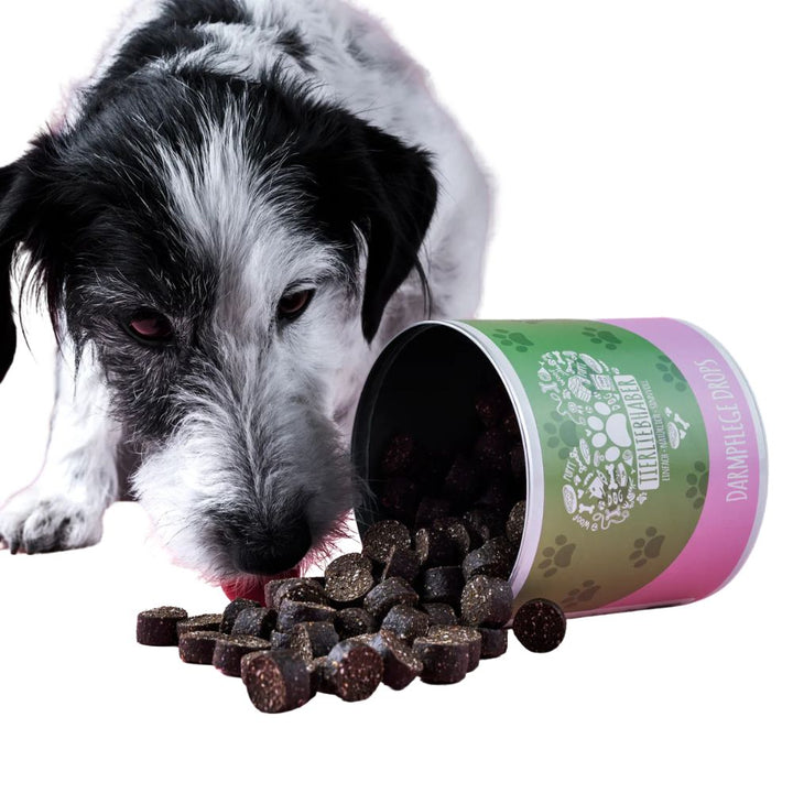 Intestinal Care Drops from Tierliebhaber, 350g