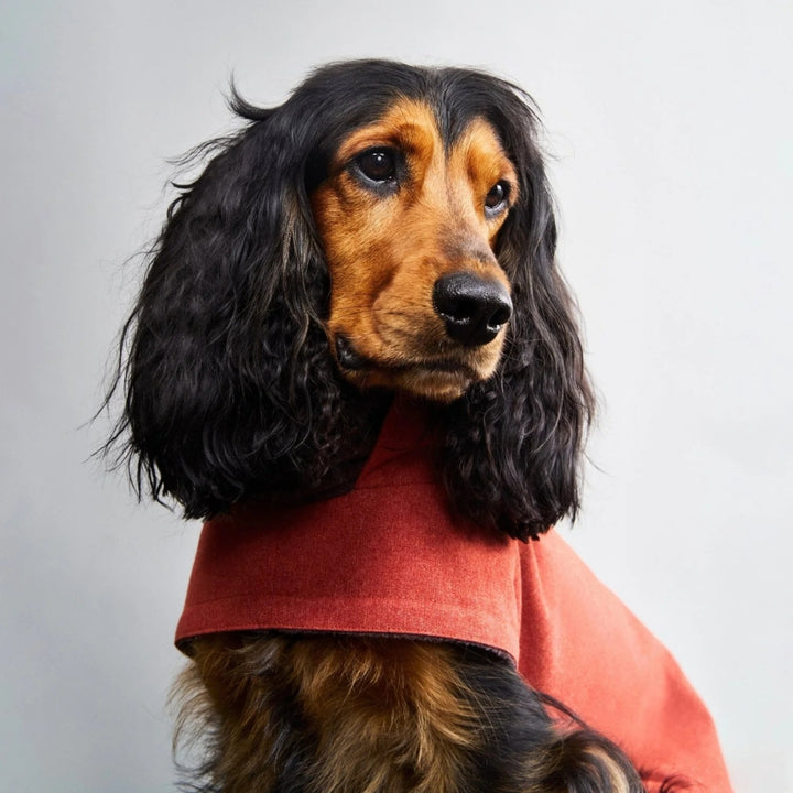 Hundemantel Brooklyn Rust