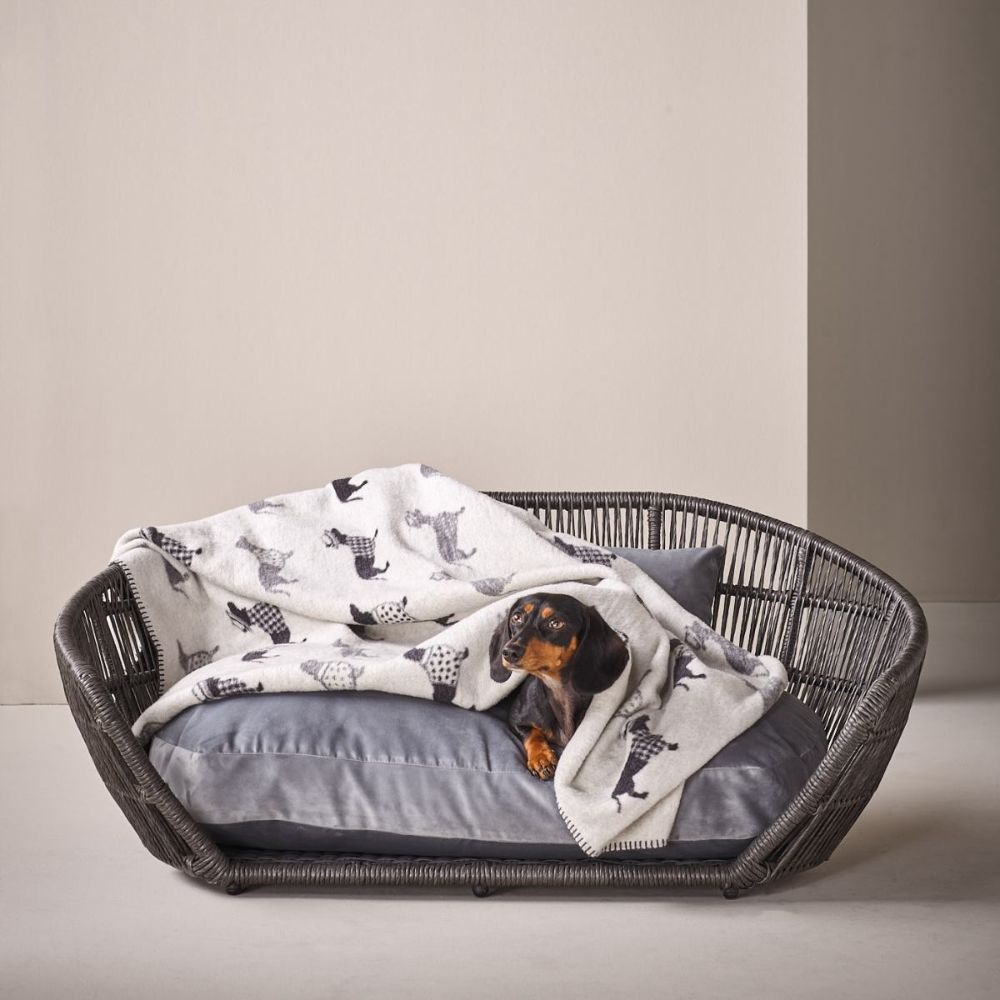 Hundedecke Dackel - Für Zuhause und unterwegs