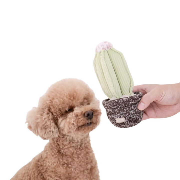 Hondenspeelgoed cactus - snuffelspeeltje
