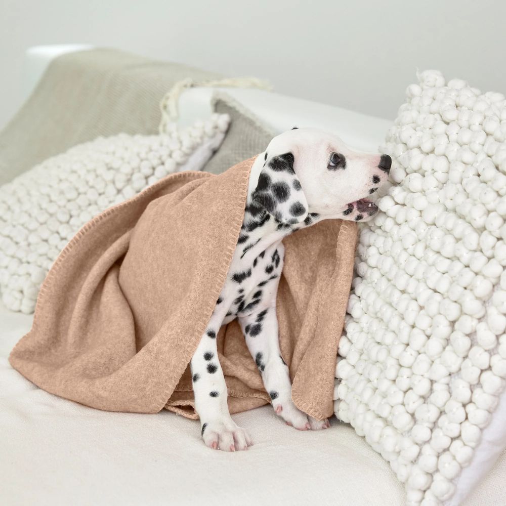 Hundedecke Mathilda Ahorn