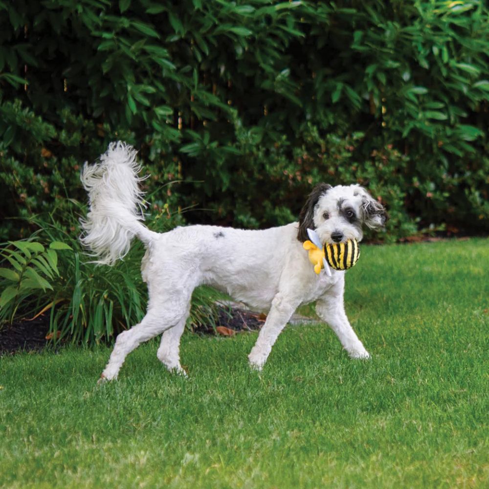 Bumble Bee faballs dog toy