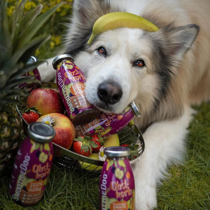 Honden Smoothie Fruitmand, 250ml