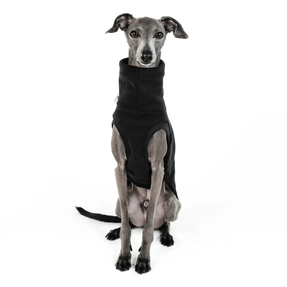 LANG SHIRT 2.0 voor Italiaanse Windhond in zwart