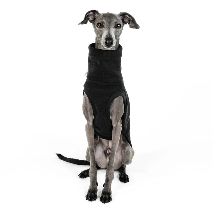LANG SHIRT 2.0 voor Italiaanse Windhond in zwart