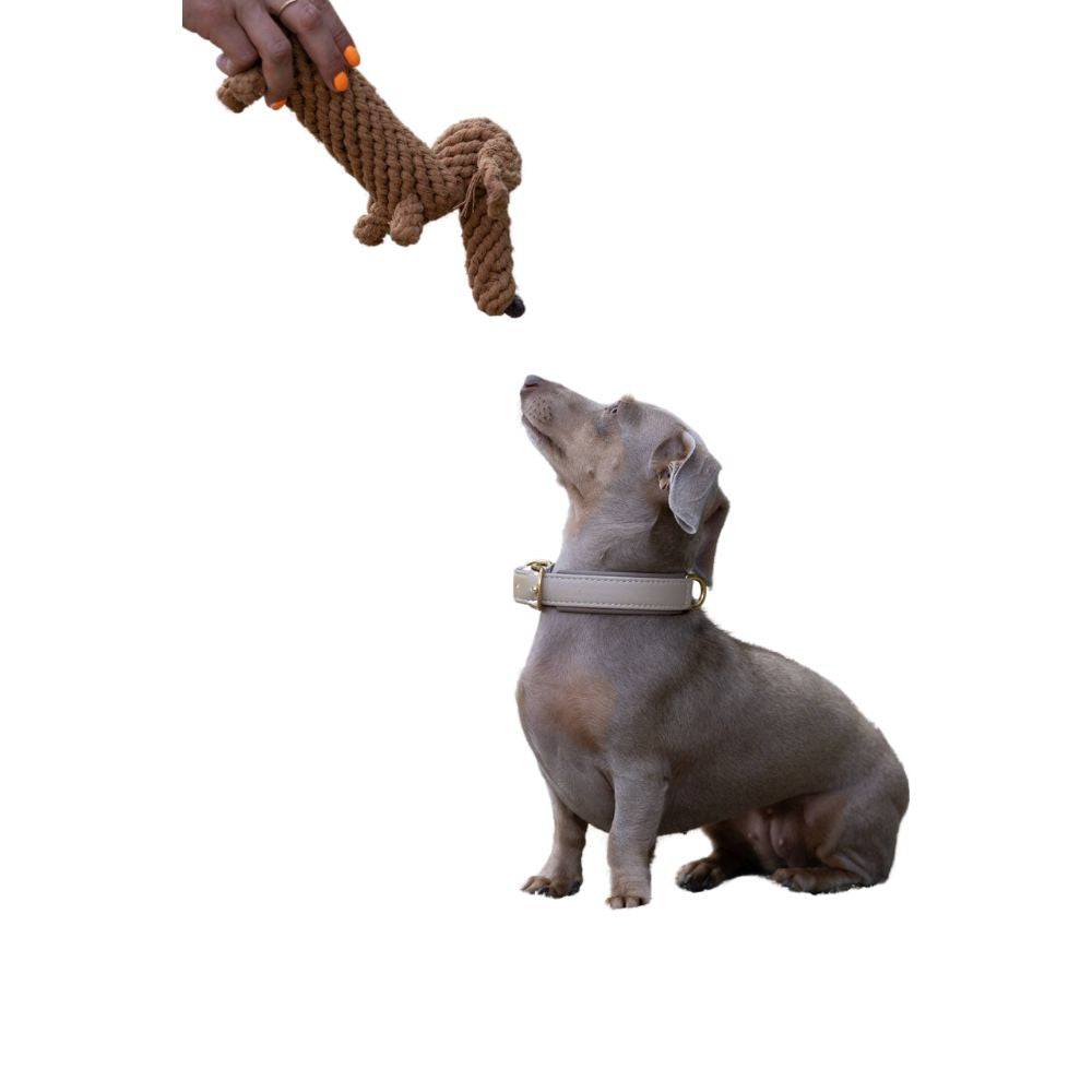 Dog toy Diego Dachshund