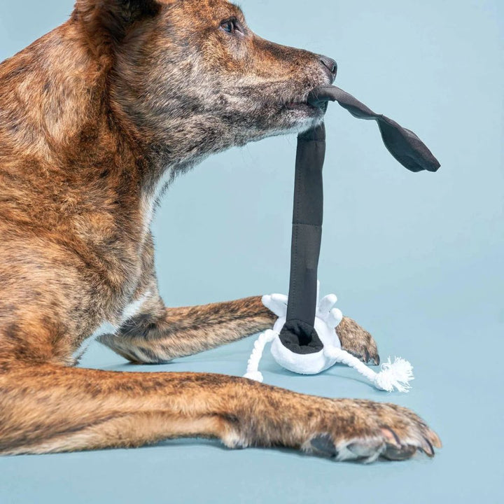Hundespielzeug - Schnüffelspielzeug Calamari
