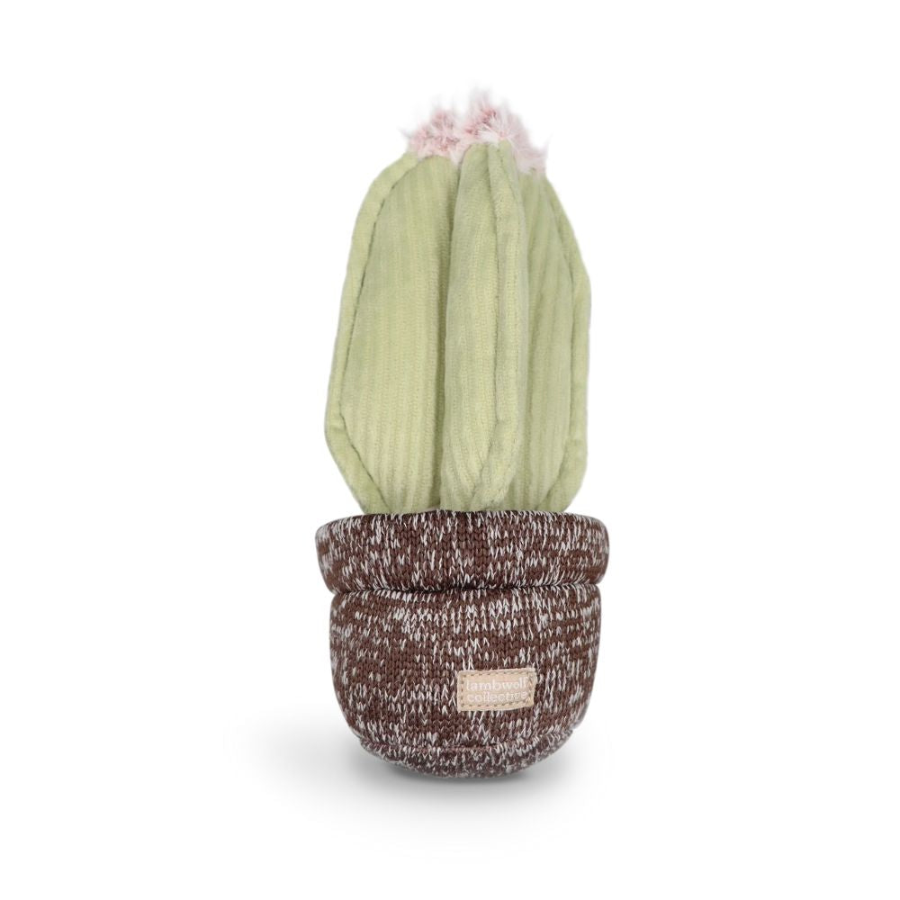 Hondenspeelgoed cactus - snuffelspeeltje