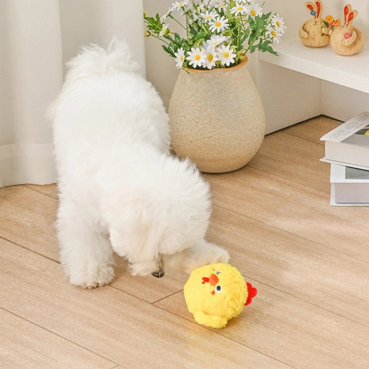 Dog toy chick ball