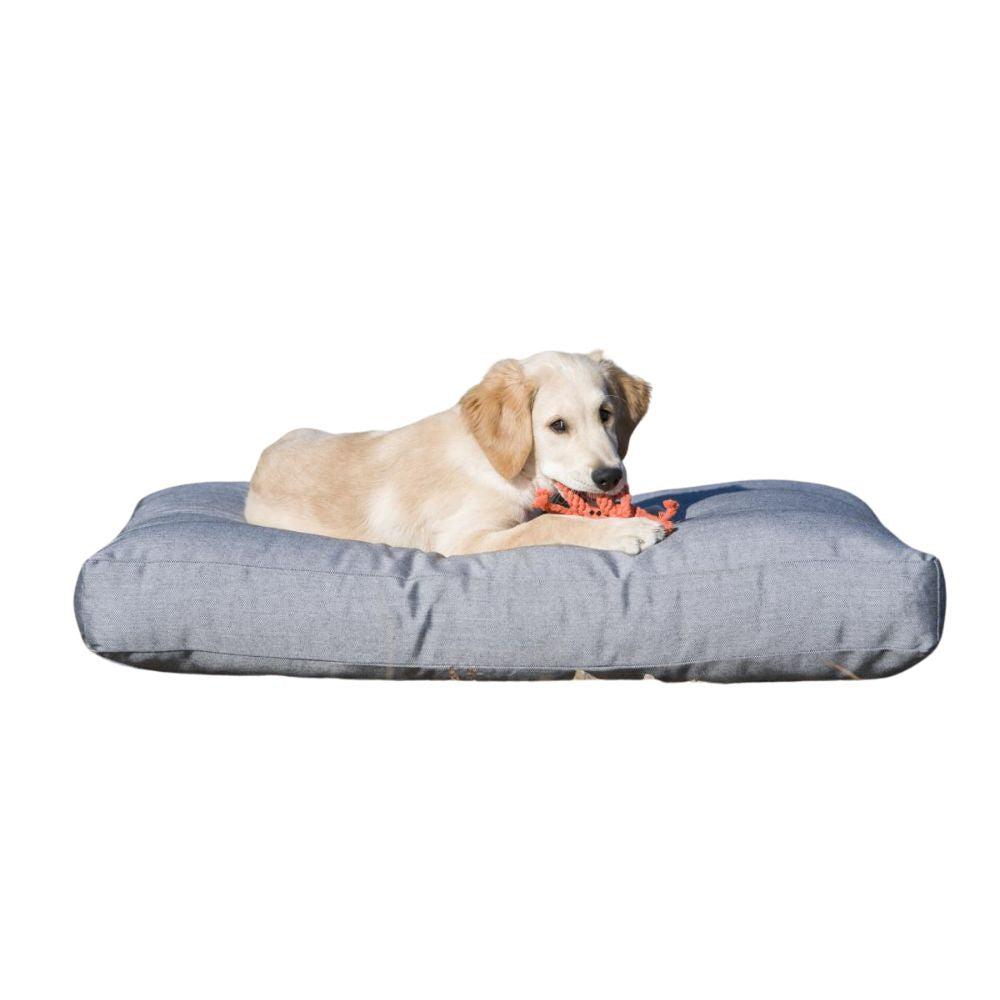 Dog toy crab Kristof