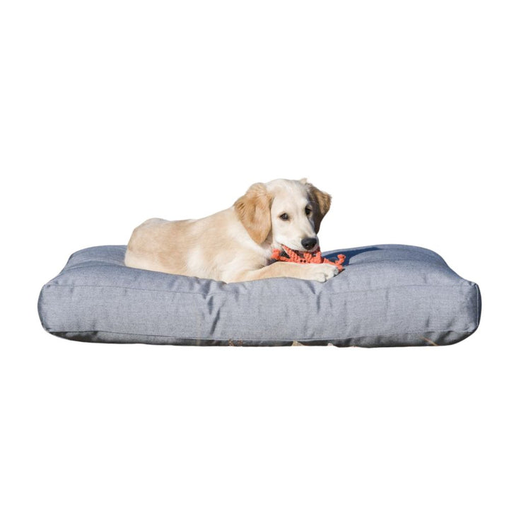 Dog toy crab Kristof