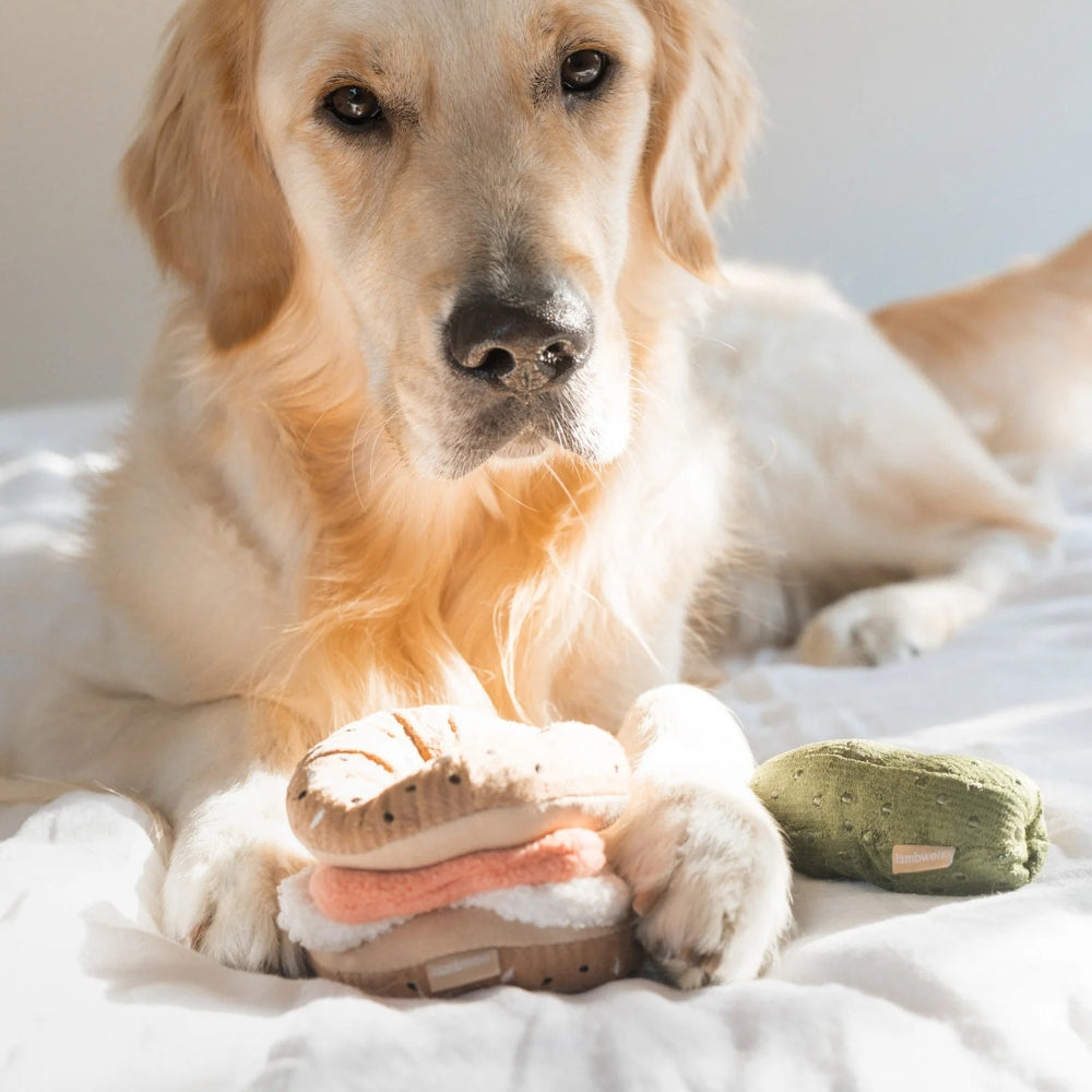 Hundespielzeug Schnüffelduo Bagel mit Gurke