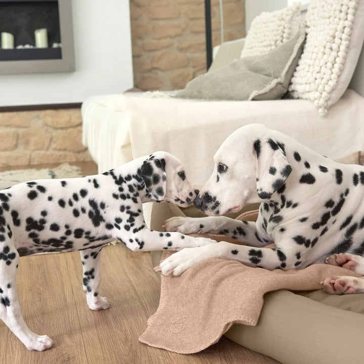 Hundedecke Mathilda Ahorn