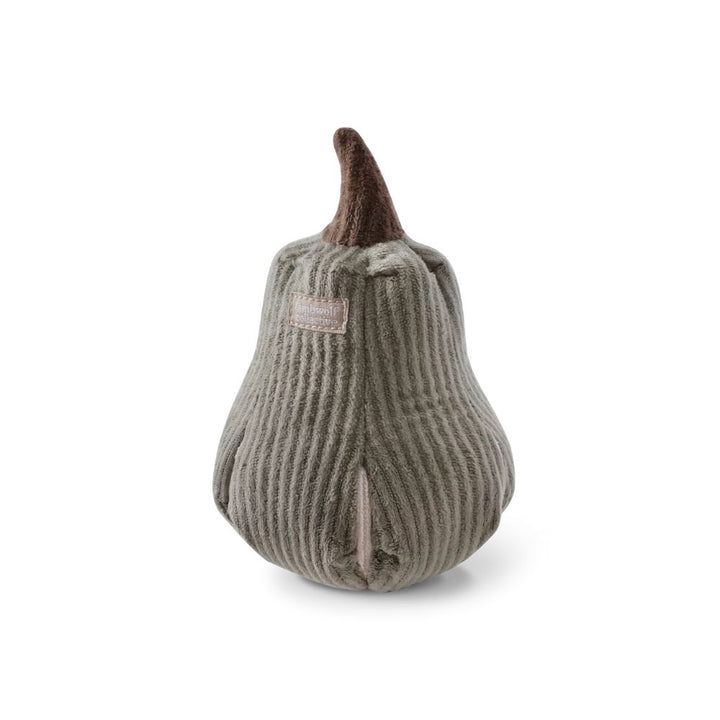 Hondenspeelgoed snuffelt aan pompoen