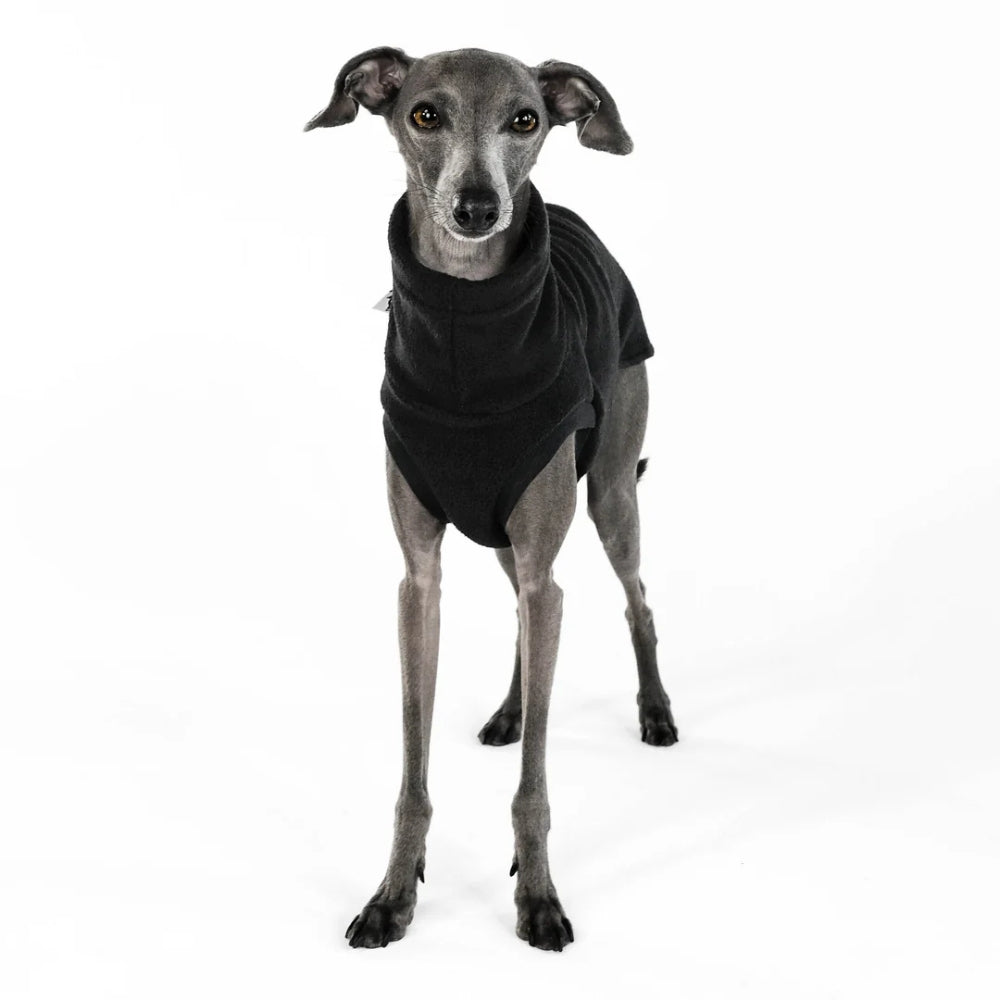 LANG SHIRT 2.0 voor Italiaanse Windhond in zwart