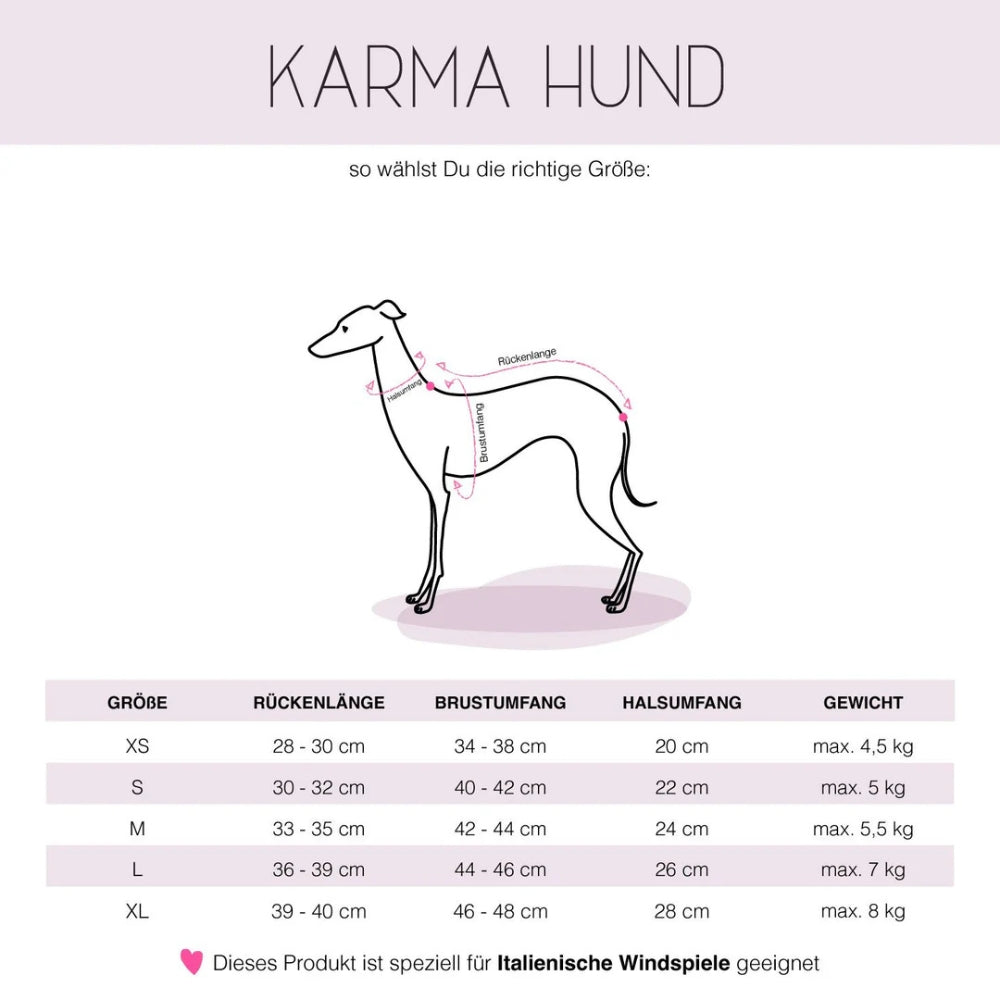 LANG SHIRT 2.0 voor Italiaanse Windhond in zwart
