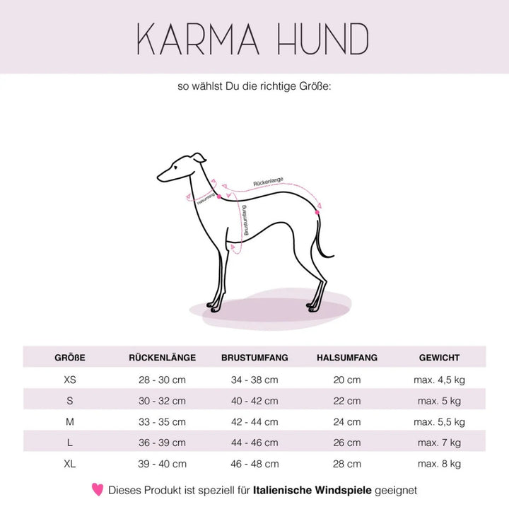 LANG SHIRT 2.0 voor Italiaanse Windhond in zwart
