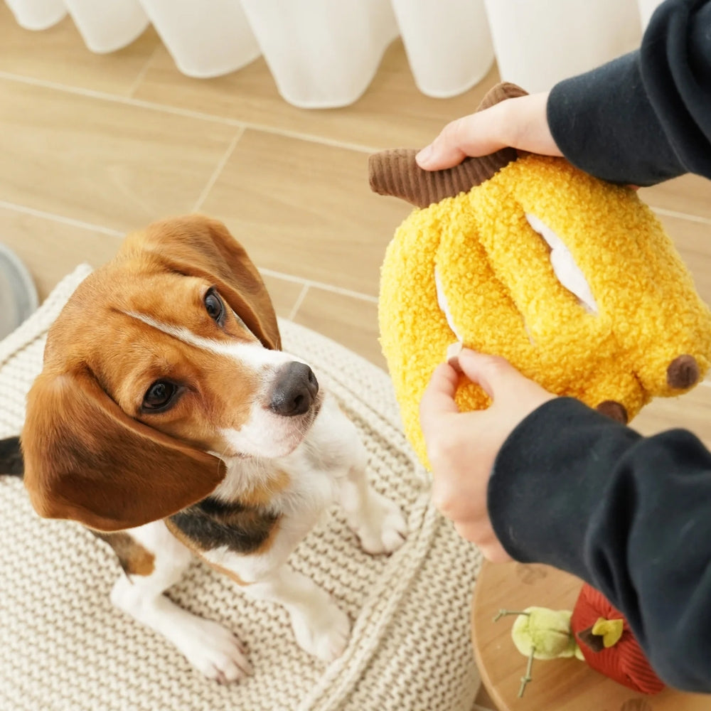 Hundespielzeug Schnüffel-Banane