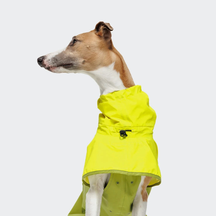 Hondenregenjas ACTIVE Neon Groen/Licht Olijfgroen