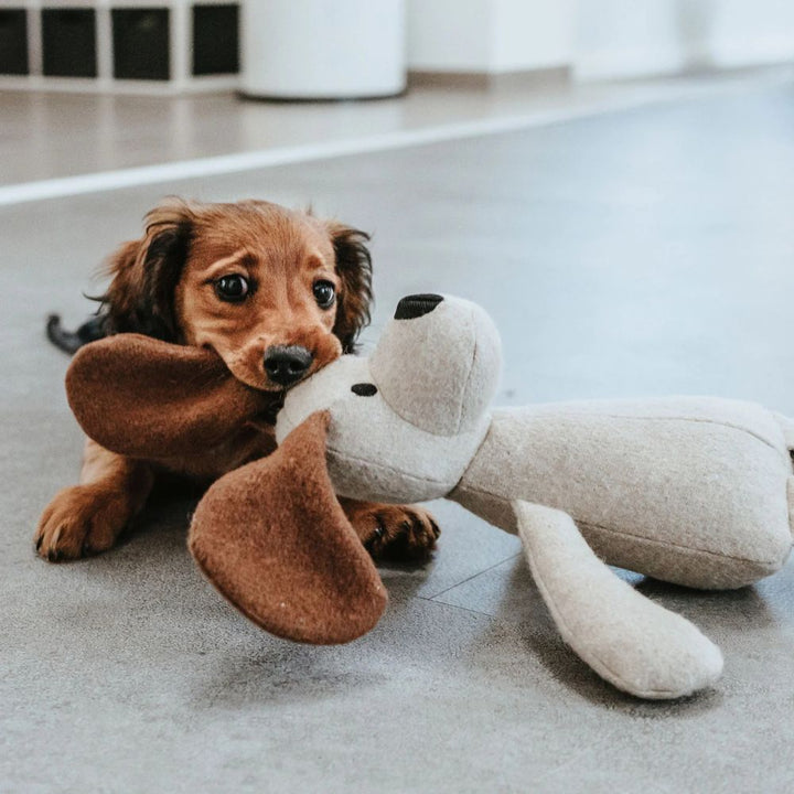 Hundespielzeug Hund Mario