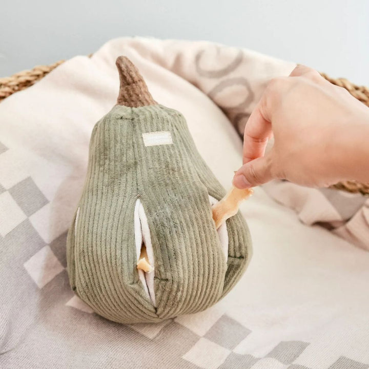 Hondenspeelgoed snuffelt aan pompoen