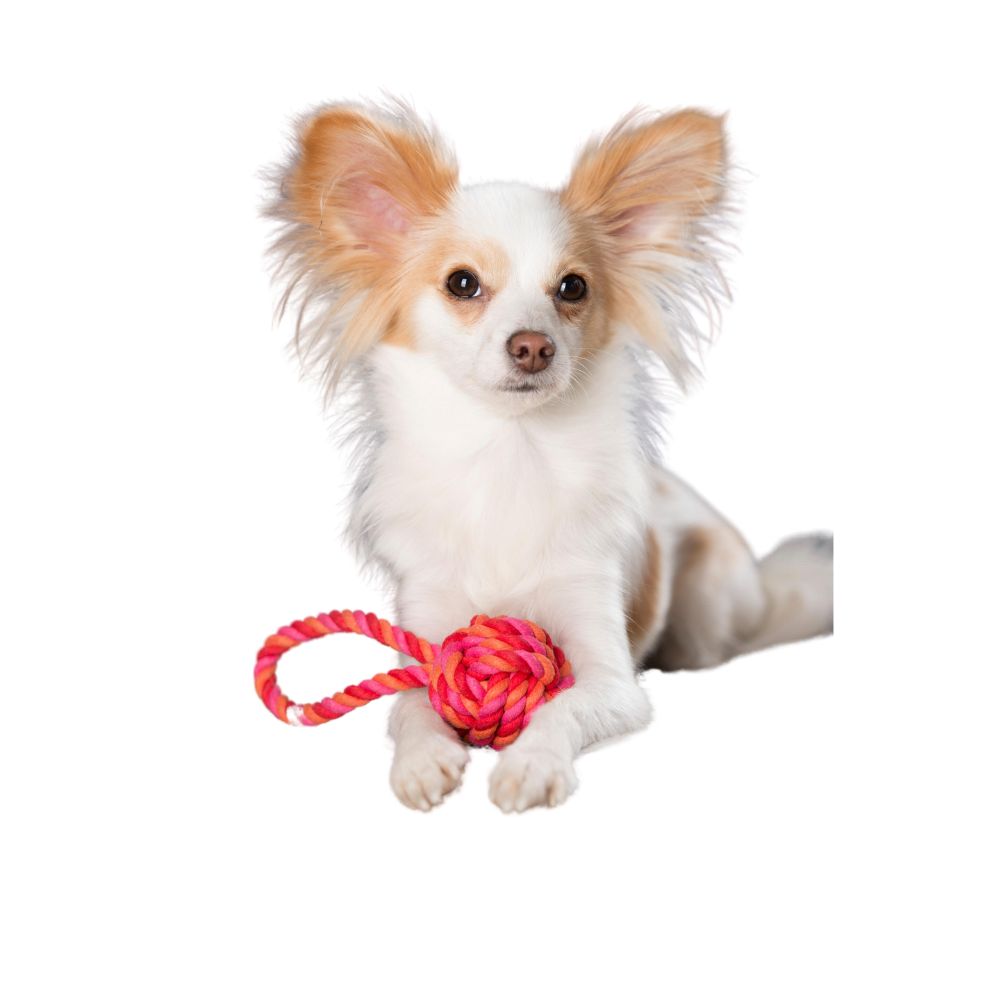Dog toy sling ball