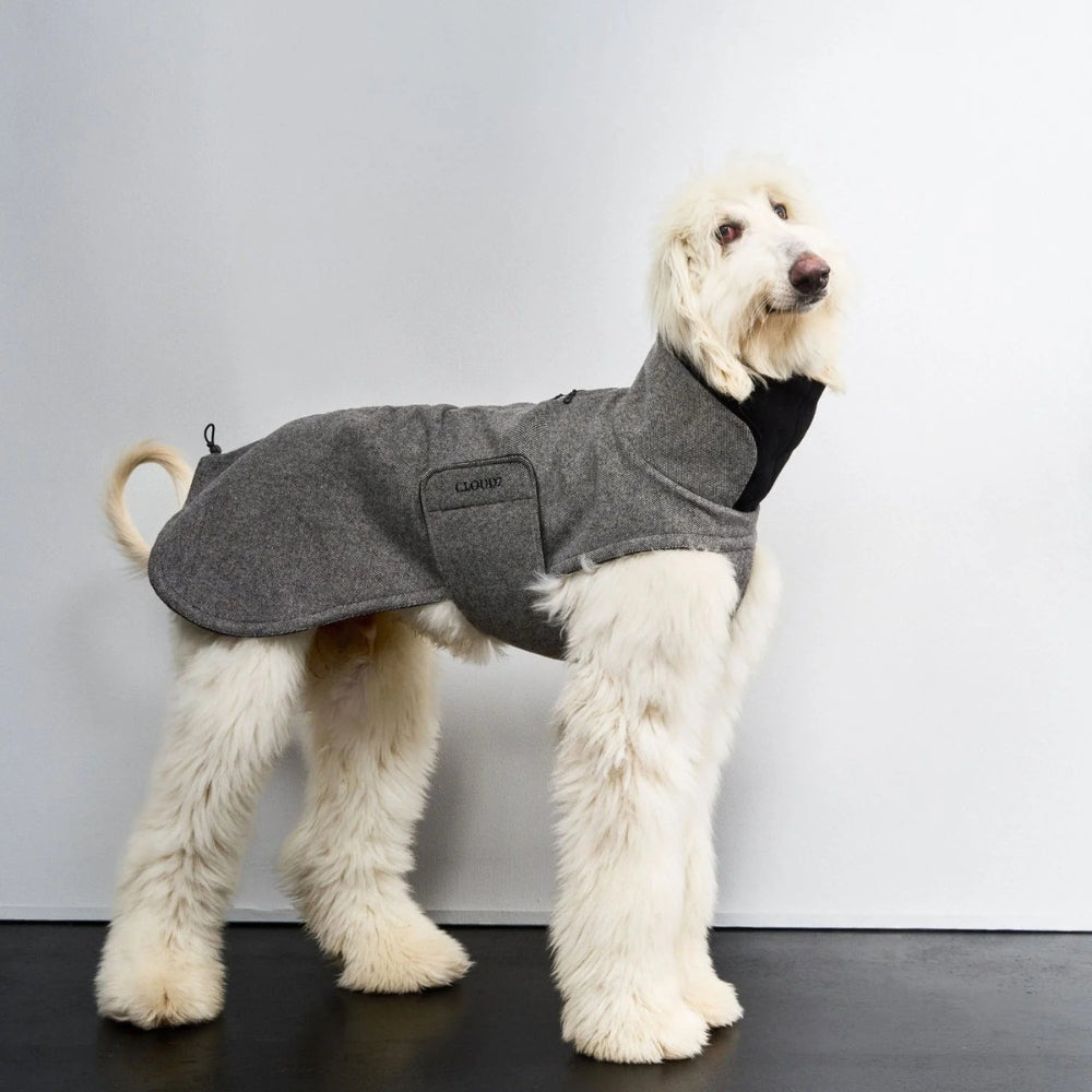 Windhundmantel Brooklyn Long Tweed Black