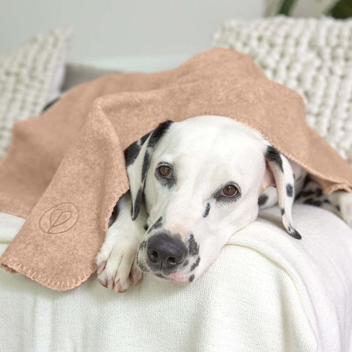 Hundedecke Mathilda Ahorn