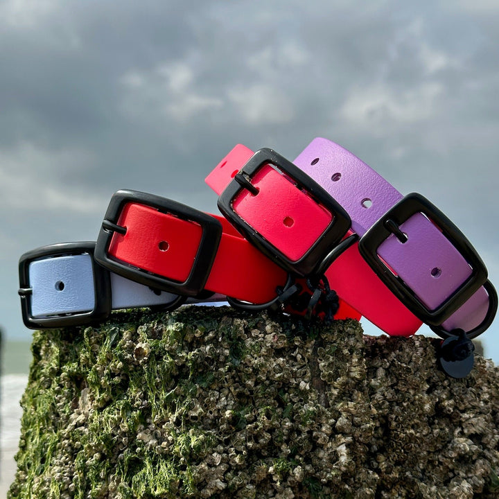 BETA-BIOTHANE® Halsband en Lijn Felroze