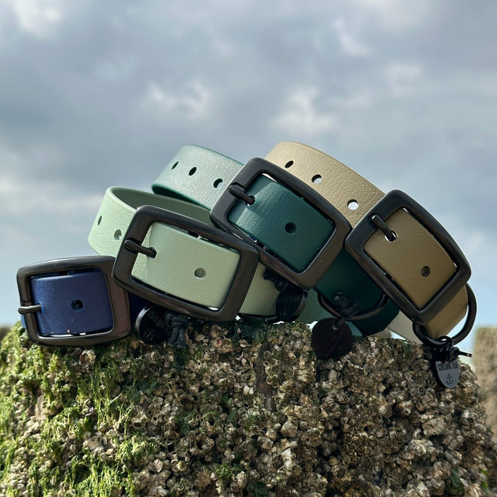BETA-BIOTHANE® Halsband en Lijn Teal