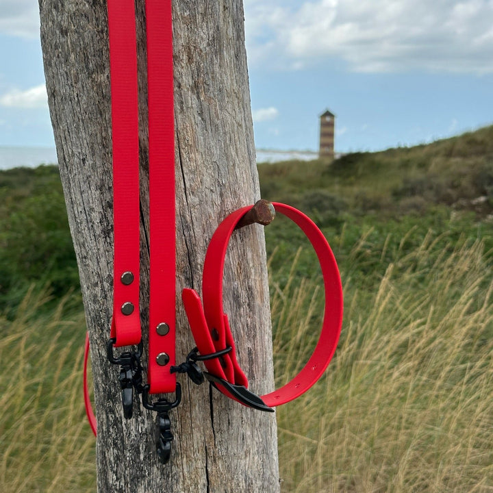 BETA-BIOTHANE® Halsband en Lijn Fierce Rood