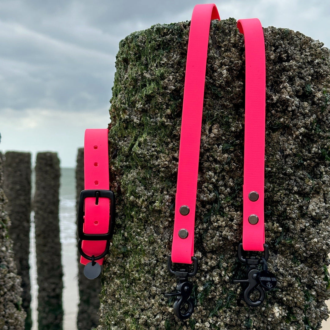 BETA-BIOTHANE® Halsband en Lijn Felroze