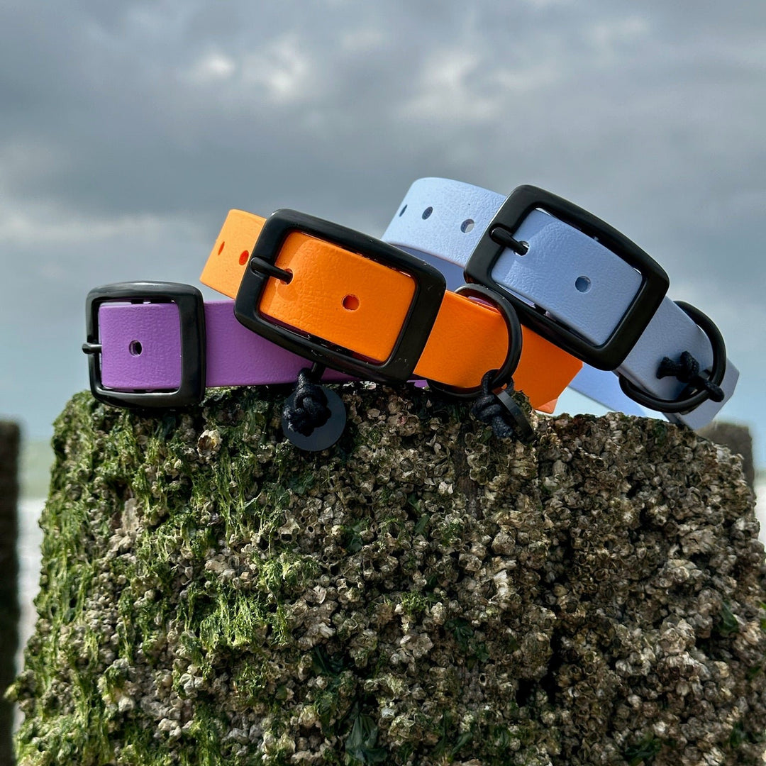 BETA-BIOTHANE® Halsband en Lijn Lila