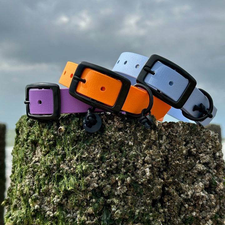 BETA-BIOTHANE® Halsband en Lijn Lila