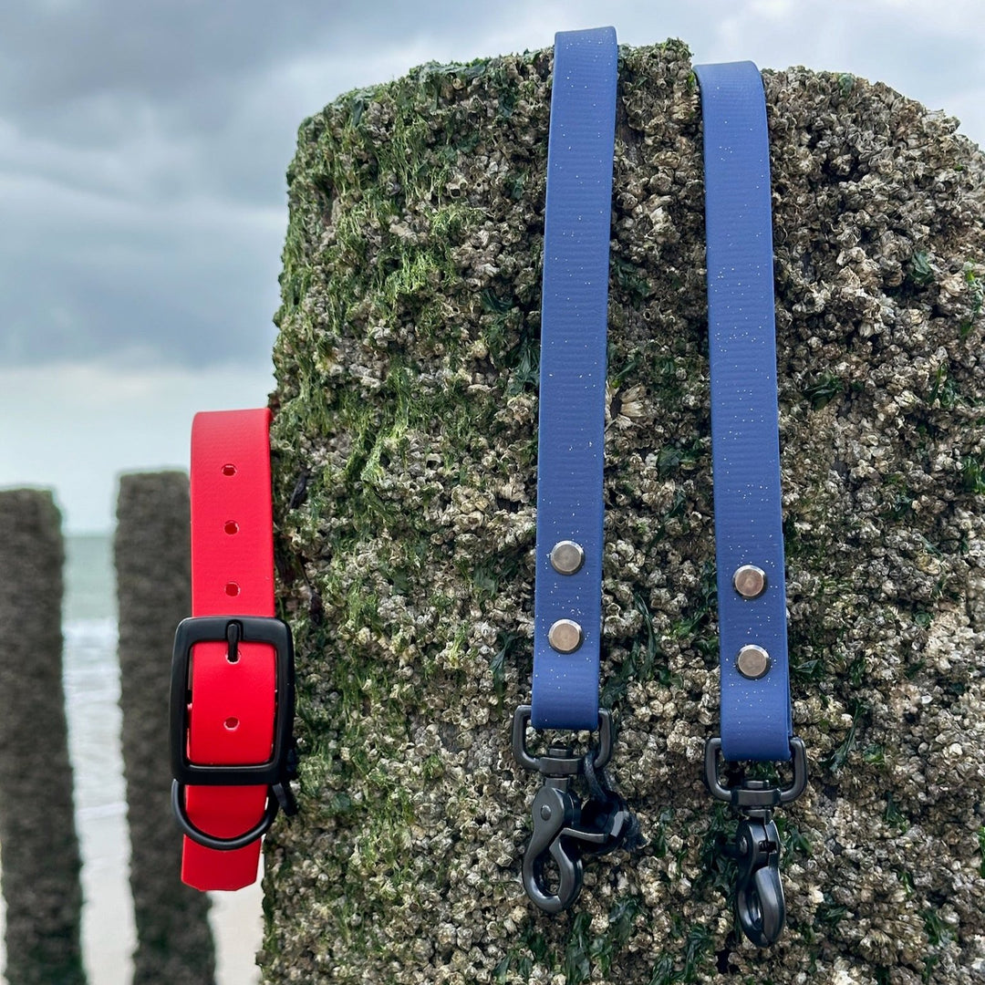 BETA-BIOTHANE® Halsband en Lijn Fierce Rood