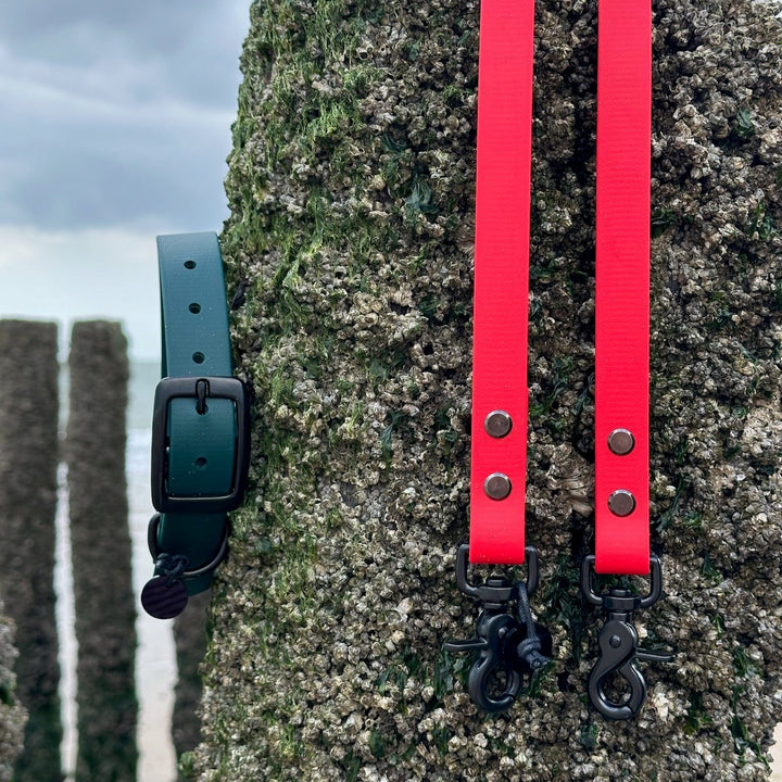 BETA-BIOTHANE® Halsband en Lijn Teal