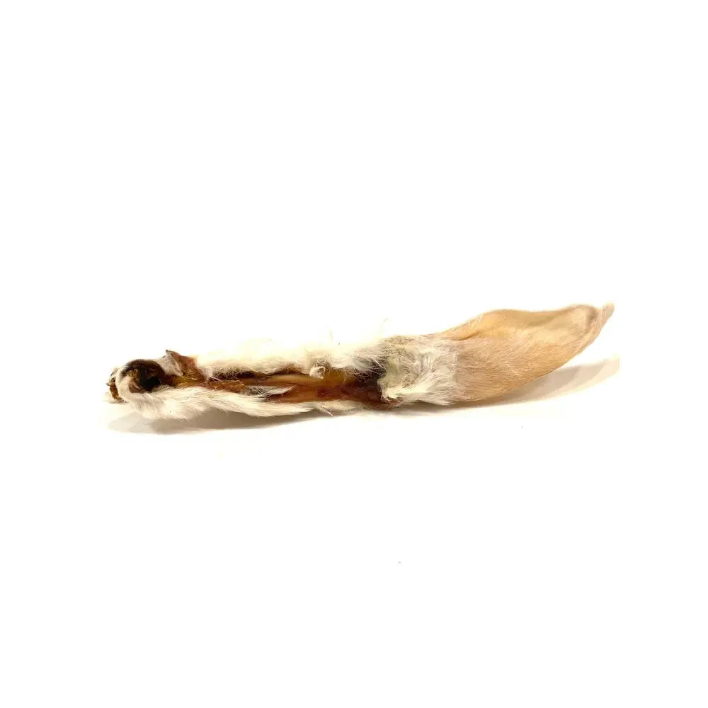 Kaninchenohren mit Fell - zur Magen/Darm Reinigung, 100g Jetzt erhältlich bei Dogsmopolitan
