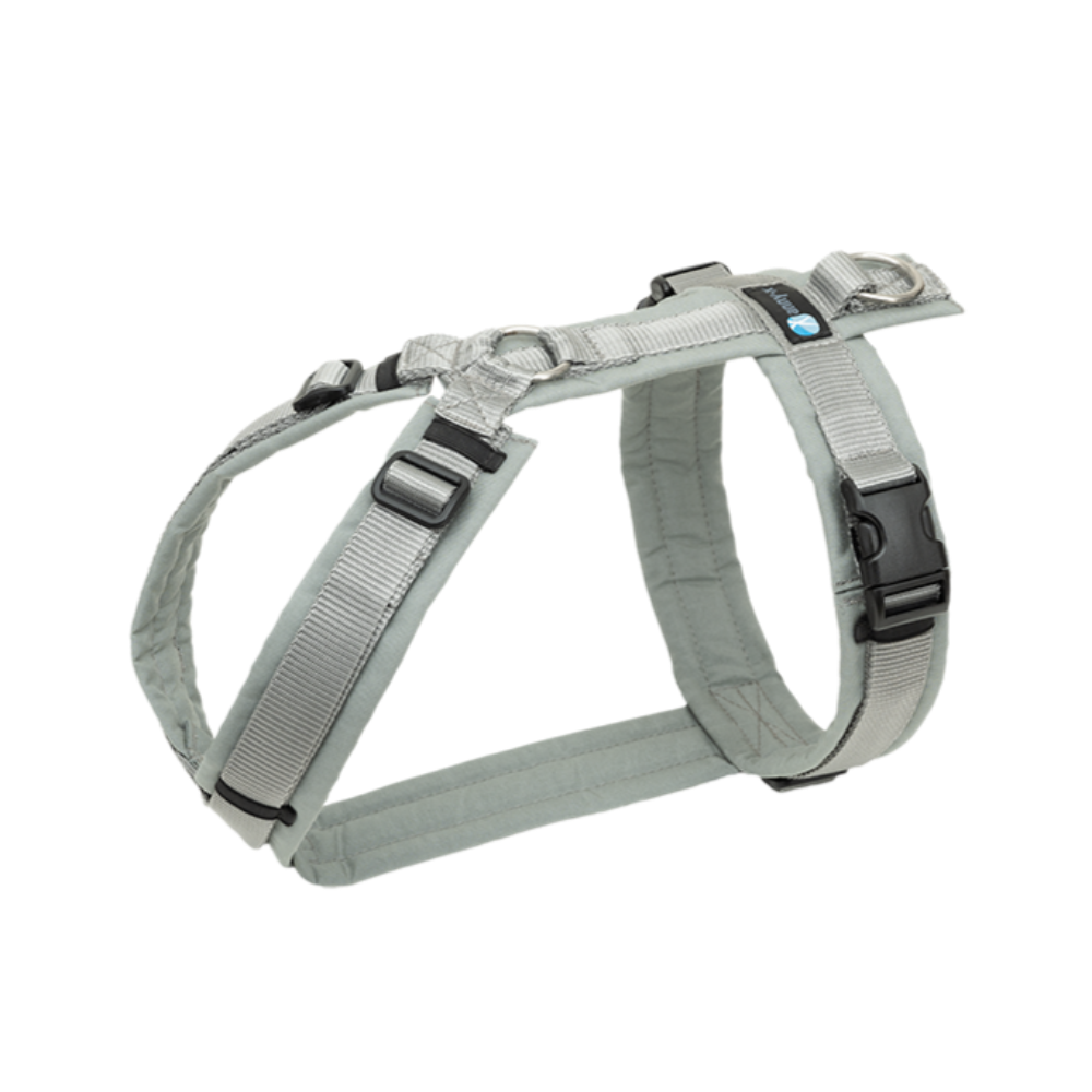 AnnyX Hundegeschirr Fun Grau-Silber