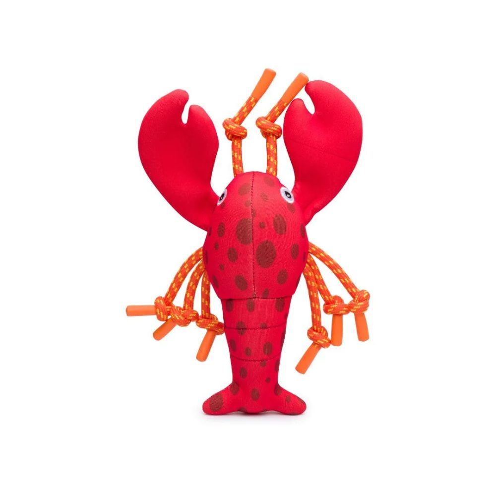 Squid Floatie